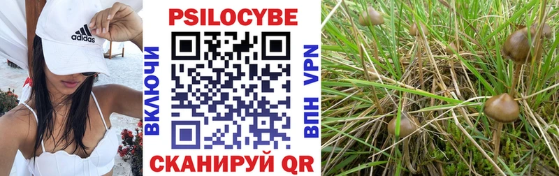 Псилоцибиновые грибы MAGIC MUSHROOMS Пудож