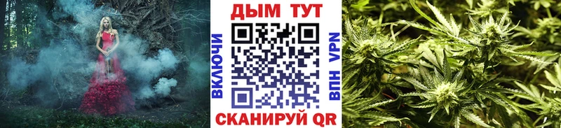 дарк нет Telegram  Пудож  Марихуана SATIVA & INDICA  omg рабочий сайт 